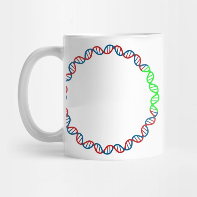 Circular DNA Double Stranded Green fluorescent protein by labstud